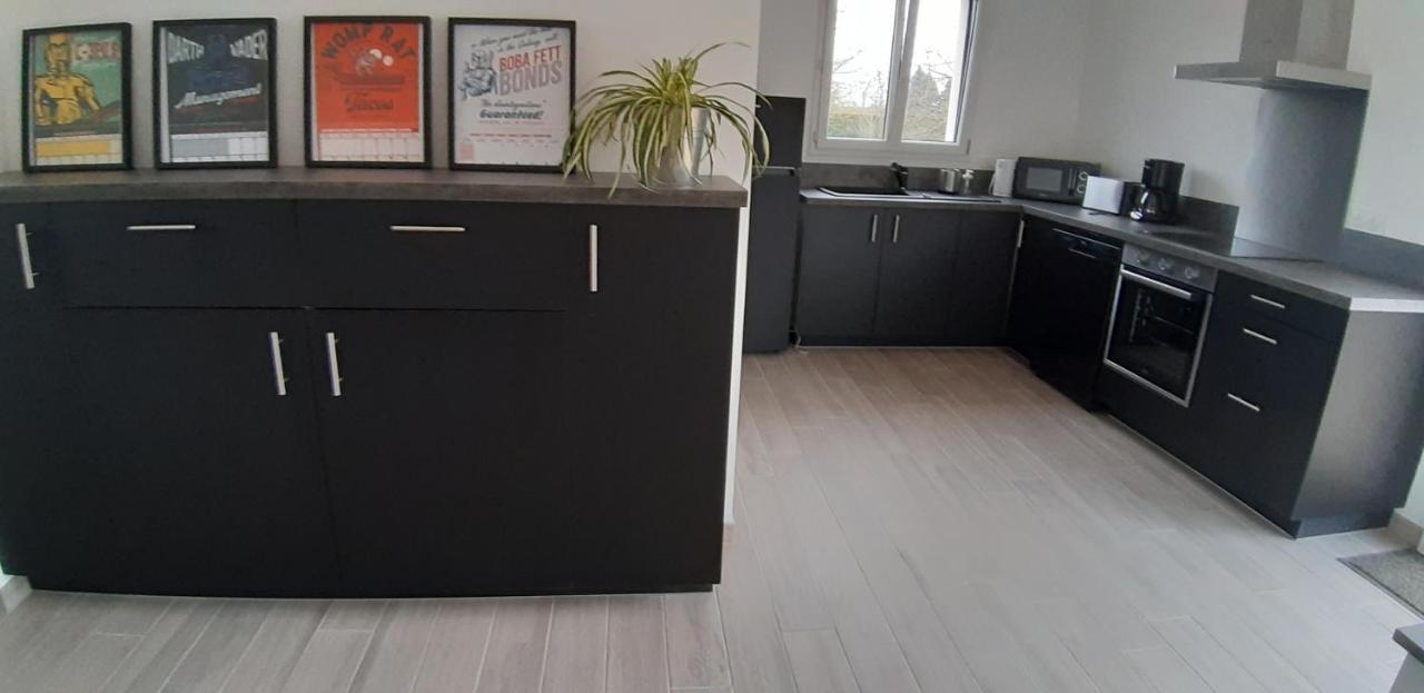 Villa Logement neuf à Saint-Martin-la-Rivière Extérieur photo